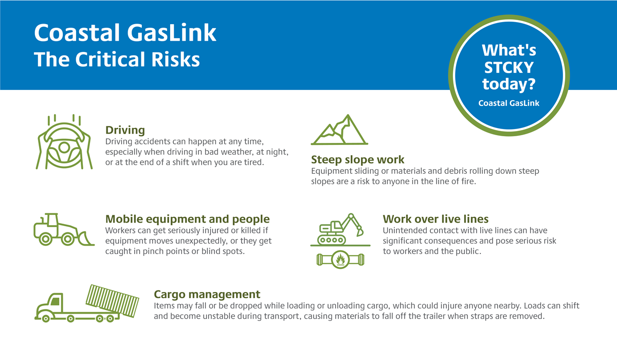 CGL - The Critical Risks